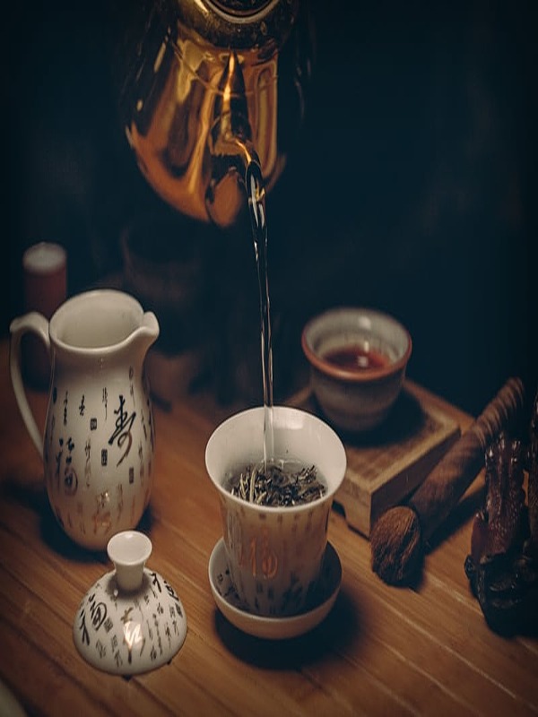 Tra Thú Hoàn Lương Ký