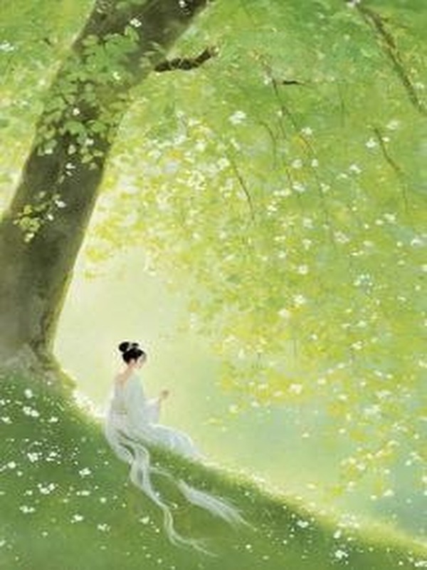 Số Tay Tu Luyện Của Yêu Phi