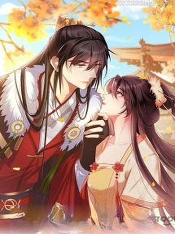 Sủng Phi Của Hoàng Đế