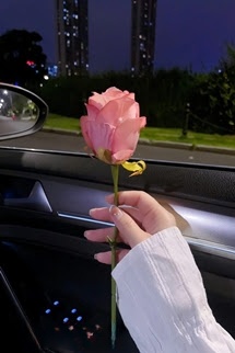 Cự Tuyệt Thâm Tình