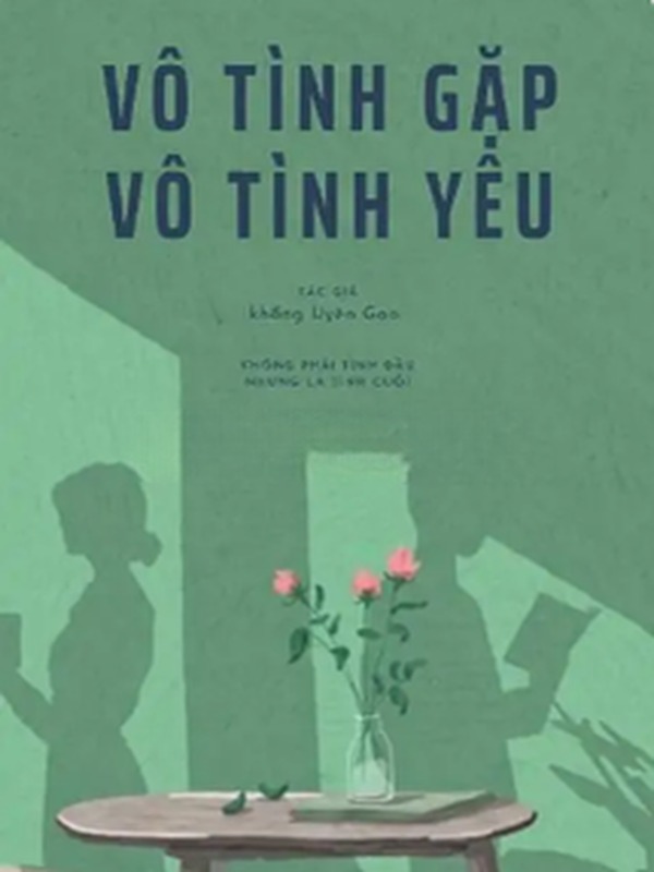 Vô Tình Gặp Vô Tình Yêu