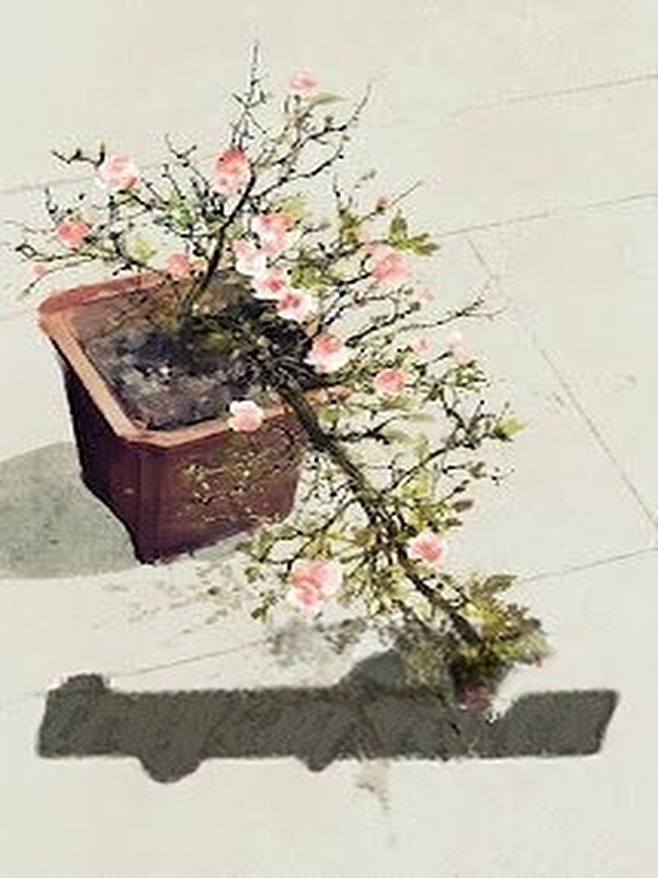 Nếu Có Biết Xuân Về Chốn Nọ