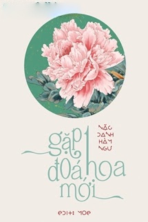 Gặp Một Đoá Hoa Mới - Nặc Danh Hàm Ngư