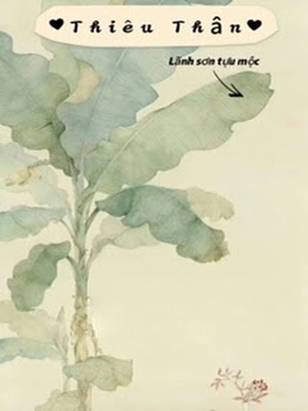 Thiêu Thân