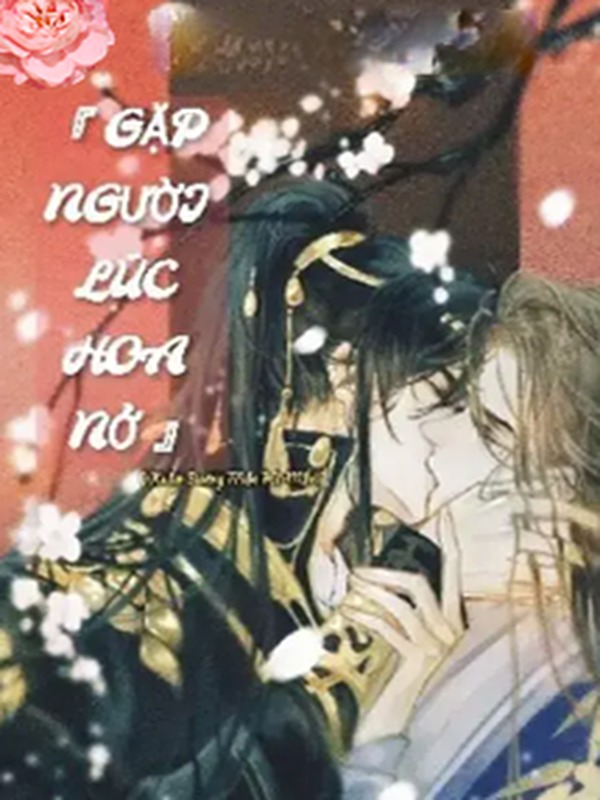 Gặp Người Lúc Hoa Nở