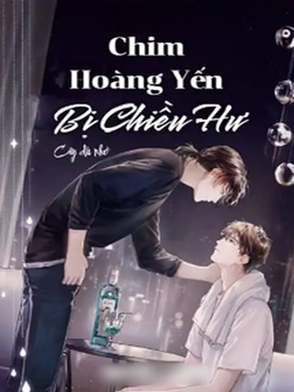 Chim Hoàng Yến Bị Chiều Hư