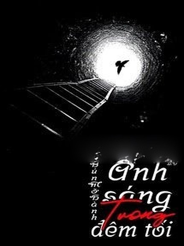 Ánh Sáng Trong Đêm Tối