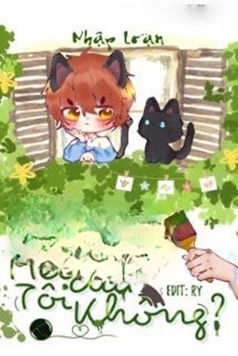 Ai Thấy Mèo Của Tôi Không
