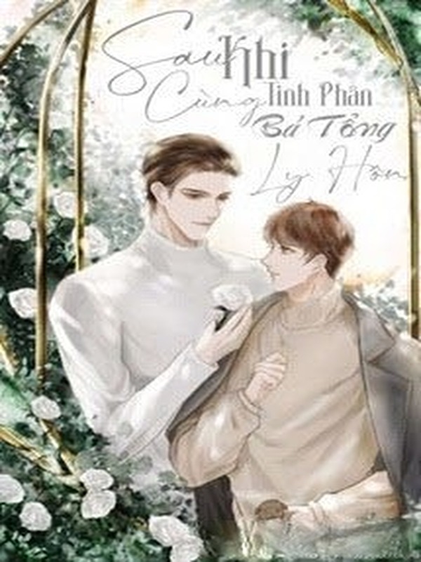 Sau Khi Cùng Tinh Phân Bá Tổng Ly Hôn