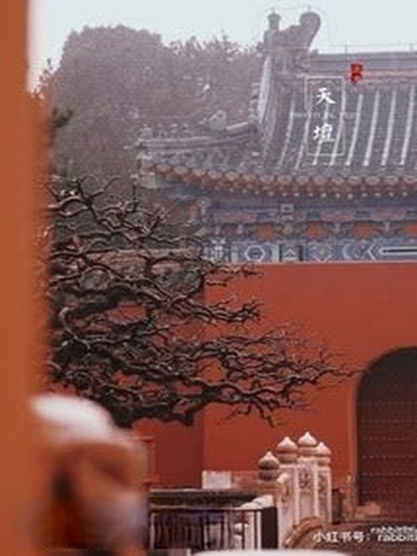 Ký Sự Sinh Tồn Chốn Cung Đình