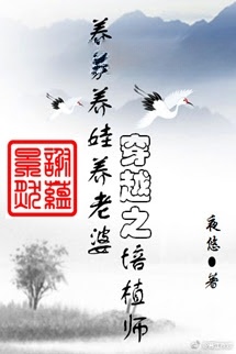 Xuyên Việt Chi Bồi Thực Sư