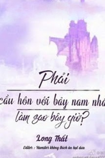Nhất Định Phải Cầu Hôn Bảy Vị Nam Nhân, Làm Sao Giờ!