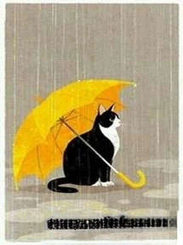 Tôi Có Lý Do Để Nghi Ngờ Mèo Nhà Mình Là Bạn Trai Cũ