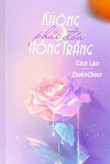 Không Phải Đóa Hồng Trắng