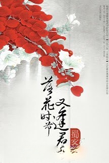 Mùa Hoa Rơi Gặp Lại Chàng
