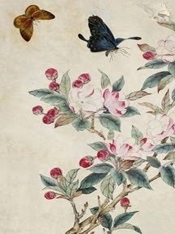 Mộng Điệp Kỳ Truyện