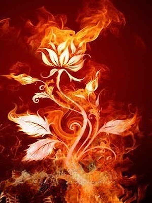 Phượng Hoàng Hồi Sinh