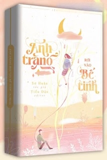 Ánh Trăng Rơi Vào Bể Tình