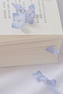 Người Phán Xử