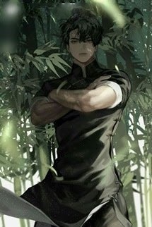 Truyền Nhân Thiên Y