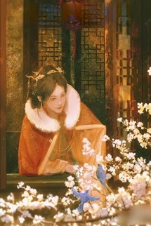 Tuế Tuế An