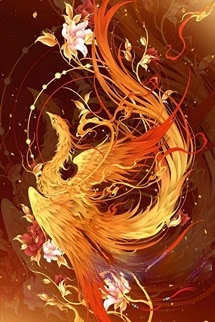 Mỗi Ngày Kim Ô Đều Bận Rộn