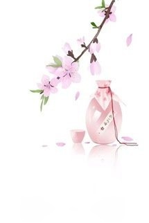 Nữ Phụ Gả Thay Bị Sủng Hằng Ngày