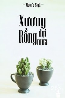Xương Rồng Đợi Mưa