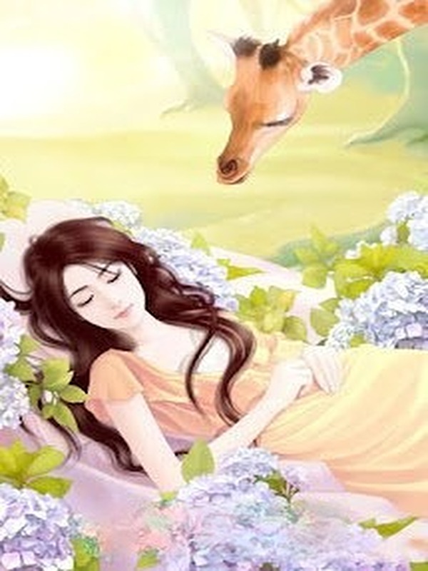 Hoa Phi Hoa Vụ Phi Vụ Ôn Nhu Nhược Thủy