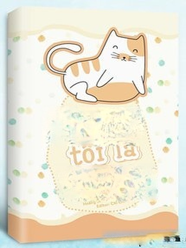 Meo ~ Tôi Là Mèo