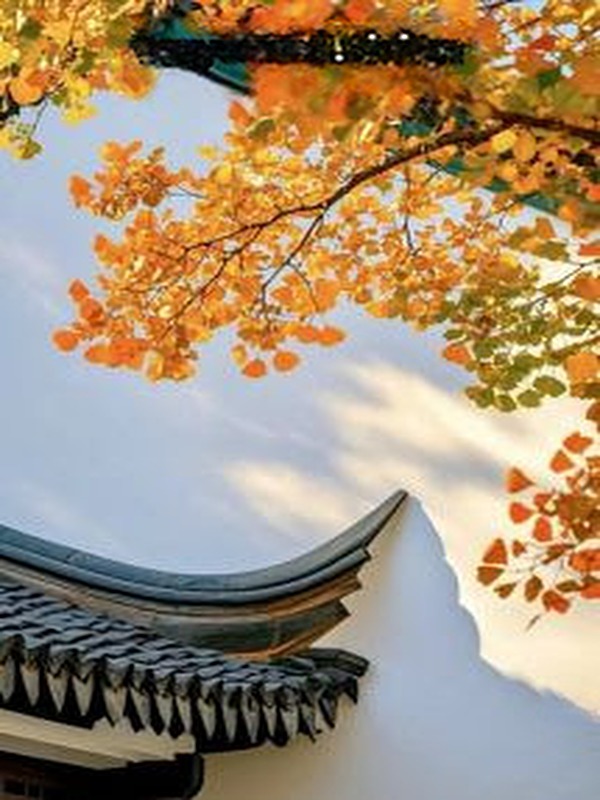 Trì Ngư Nhớ Cố Uyên - Thu Đao Ngư Ngư