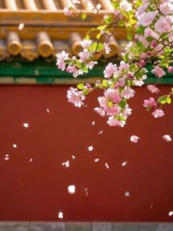 Tuế Nguyệt Tĩnh Hảo - Nam Phong