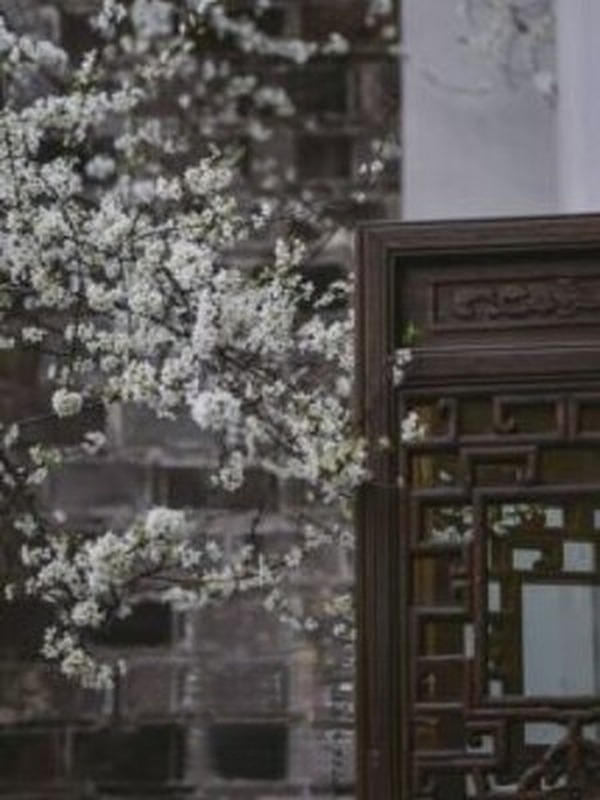 Nhất Tiễn Mai - Hỗn Độn