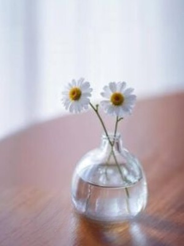 Tranh Hoạ Lòng Ai - Đường Tiểu Đường