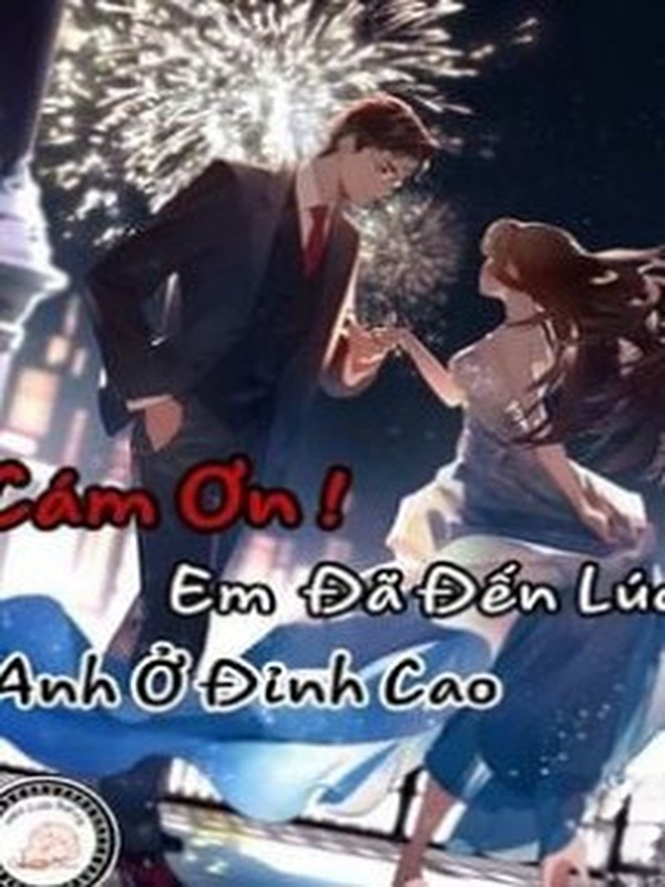 Cám Ơn, Em Đã Đến Lúc Anh Ở Đỉnh Cao