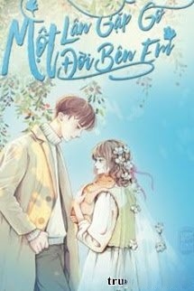 Bìa truyện Một Lần Gặp Gỡ, Một Đời Bên Em