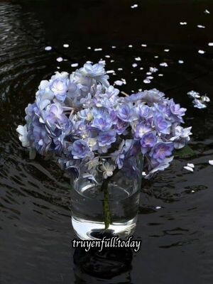 Bìa truyện Nhân Gian Hữu Tình - Kiến Hạc